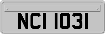 NCI1031