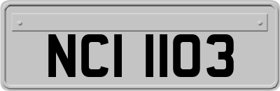 NCI1103