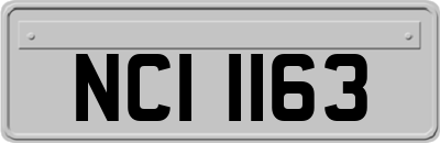 NCI1163