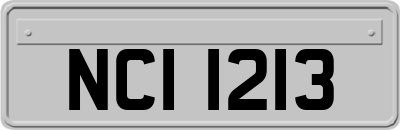 NCI1213