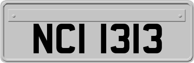 NCI1313