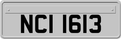NCI1613