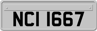 NCI1667