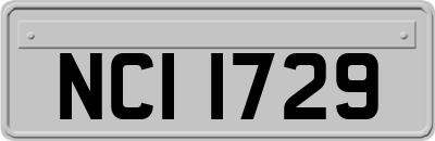 NCI1729