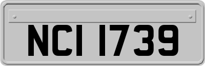 NCI1739