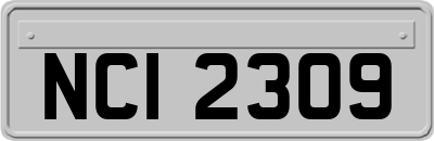 NCI2309