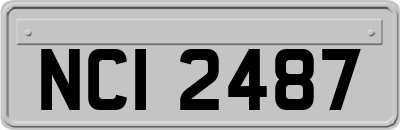 NCI2487
