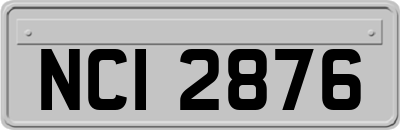 NCI2876