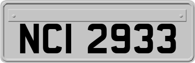 NCI2933