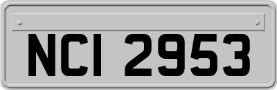 NCI2953