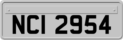 NCI2954