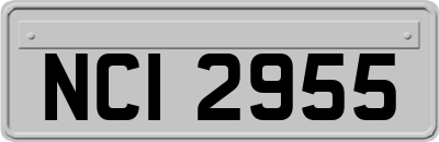 NCI2955