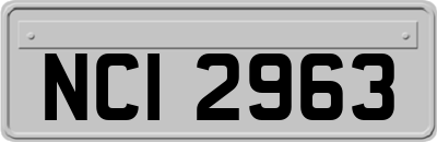 NCI2963