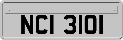NCI3101