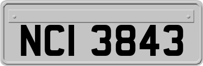 NCI3843