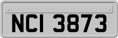 NCI3873