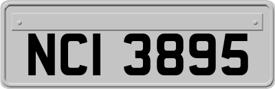 NCI3895