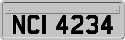 NCI4234