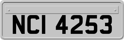 NCI4253