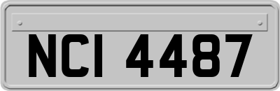 NCI4487