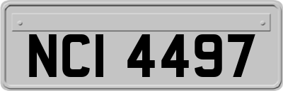 NCI4497