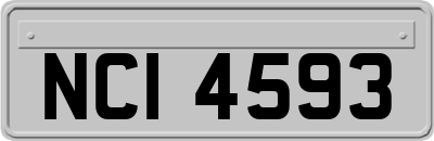 NCI4593