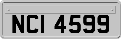 NCI4599