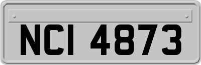 NCI4873