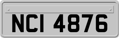 NCI4876