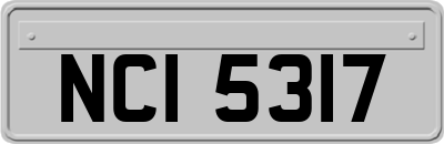 NCI5317