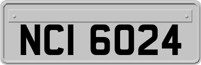 NCI6024