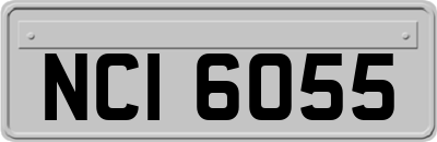 NCI6055