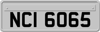 NCI6065