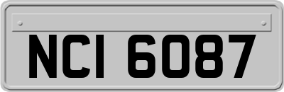 NCI6087