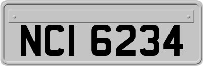 NCI6234