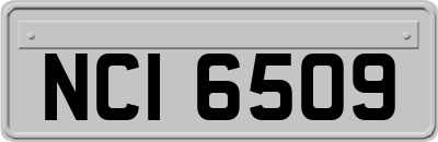 NCI6509