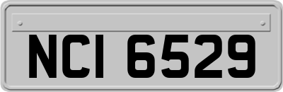 NCI6529