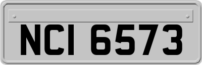 NCI6573