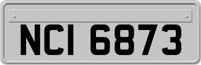 NCI6873