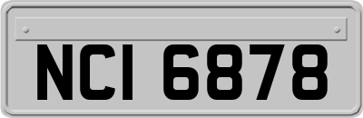 NCI6878