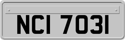 NCI7031