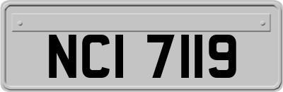 NCI7119