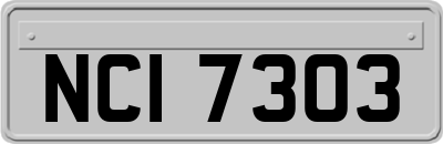 NCI7303