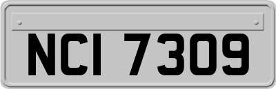 NCI7309