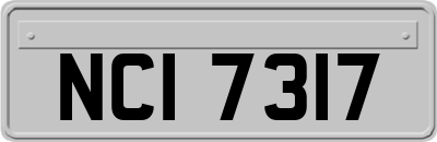 NCI7317