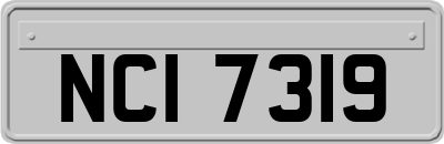 NCI7319