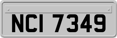NCI7349
