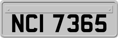 NCI7365