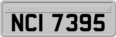 NCI7395