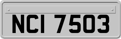 NCI7503